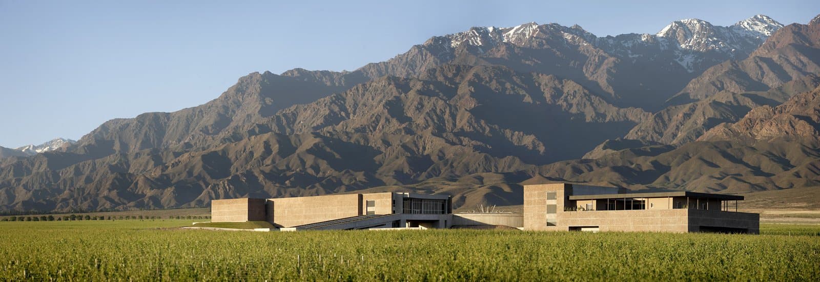 Mendoza Vineyards