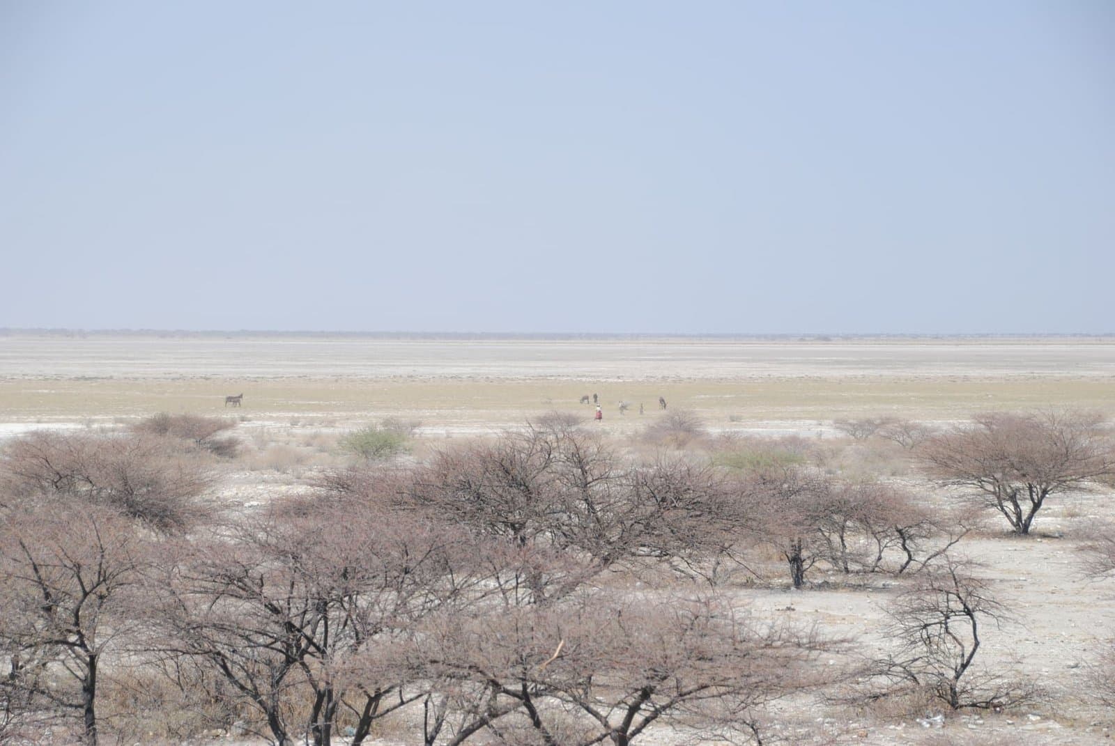 Makgadikgadi Pans