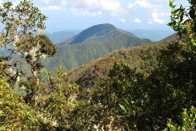 Blue Mountains
