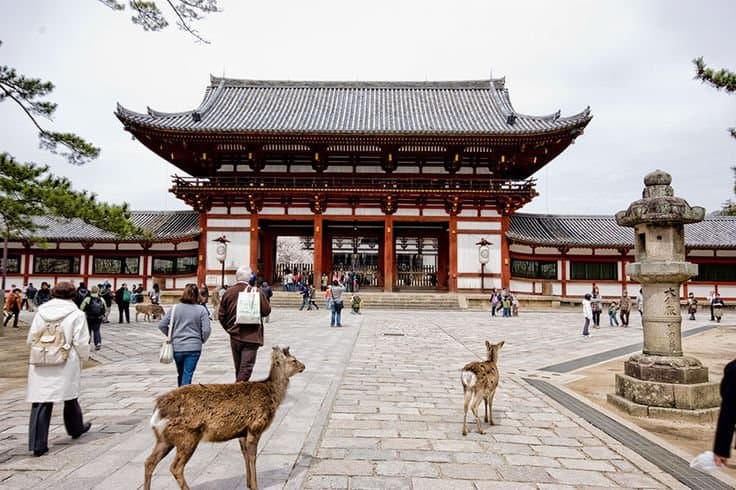 Nara Park