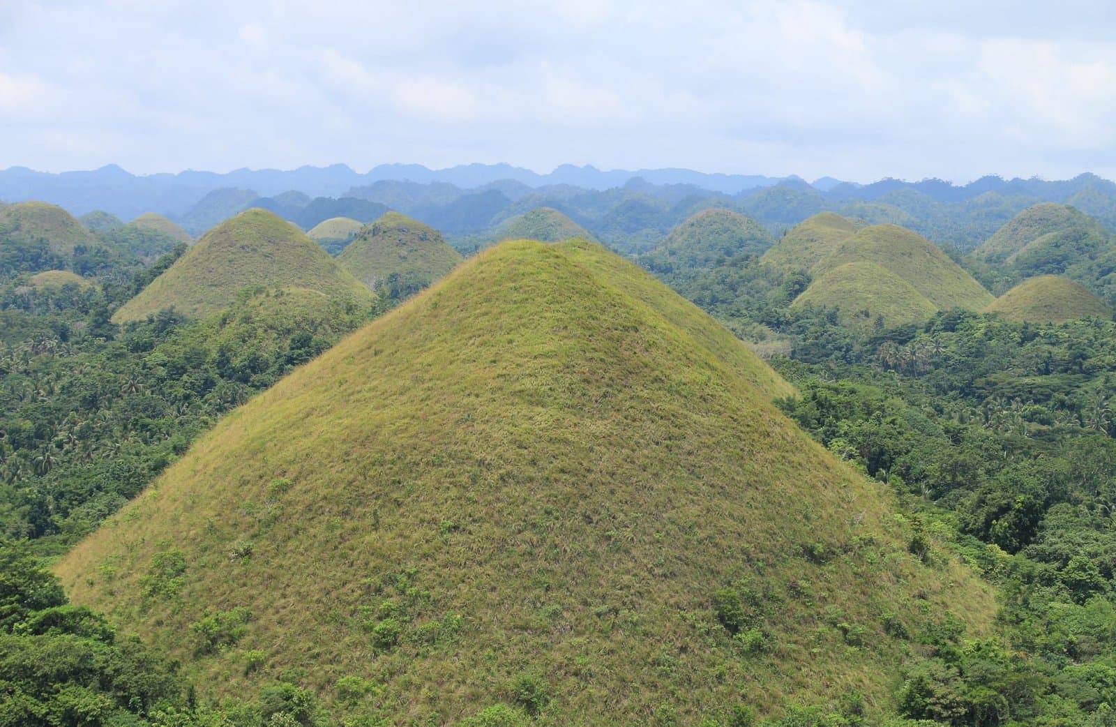 Chocolate Hills