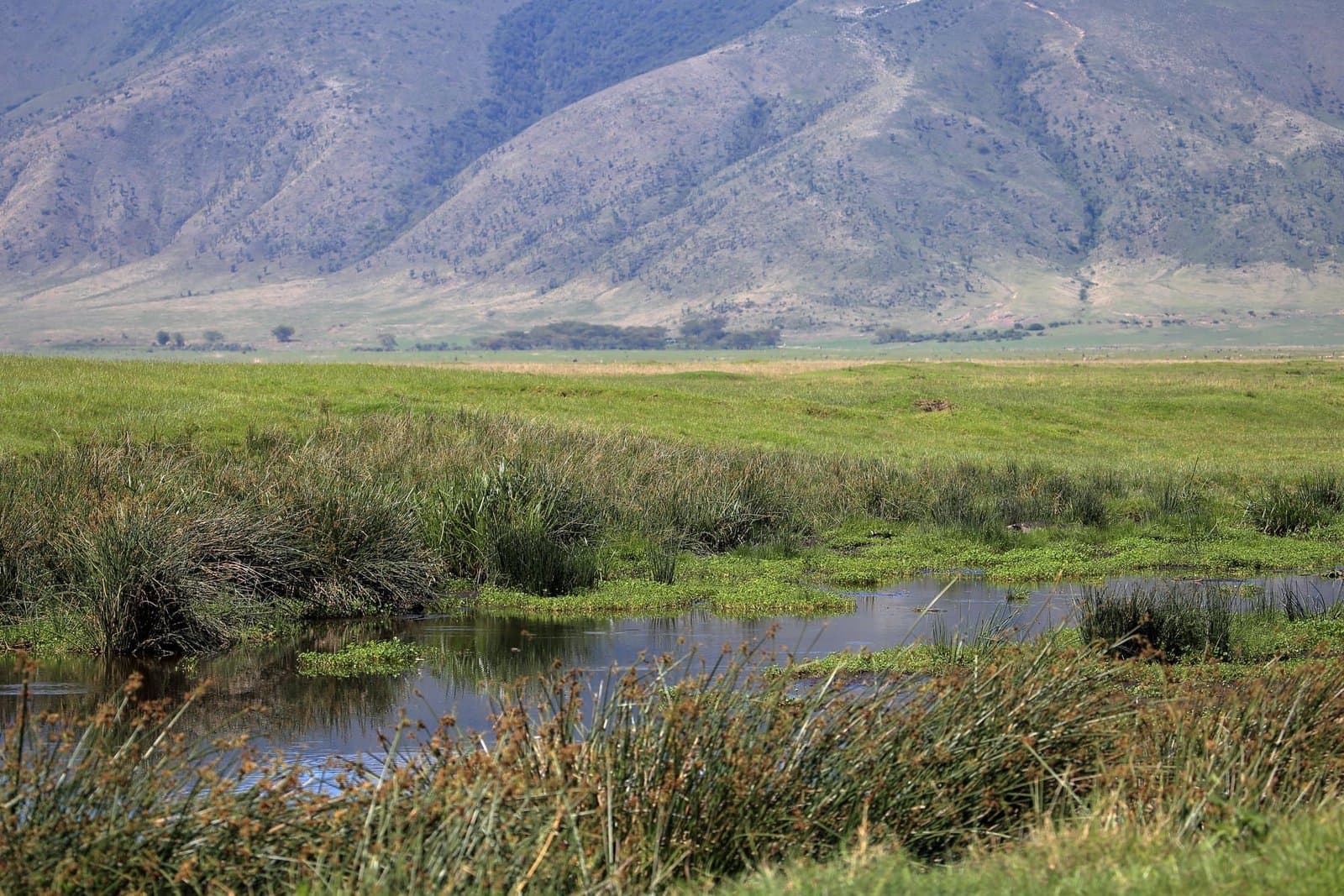 Ngorongoro Crater