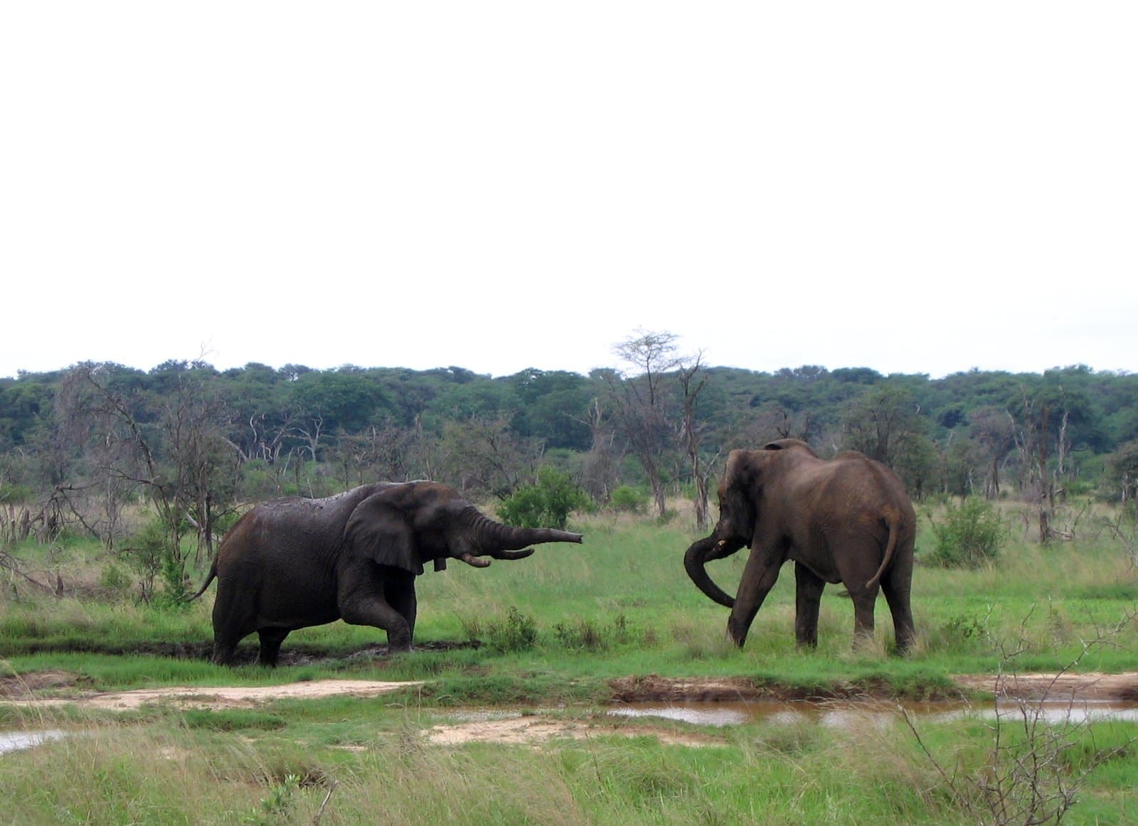 Hwange National Park