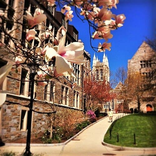 Boston College thumbnail 3
