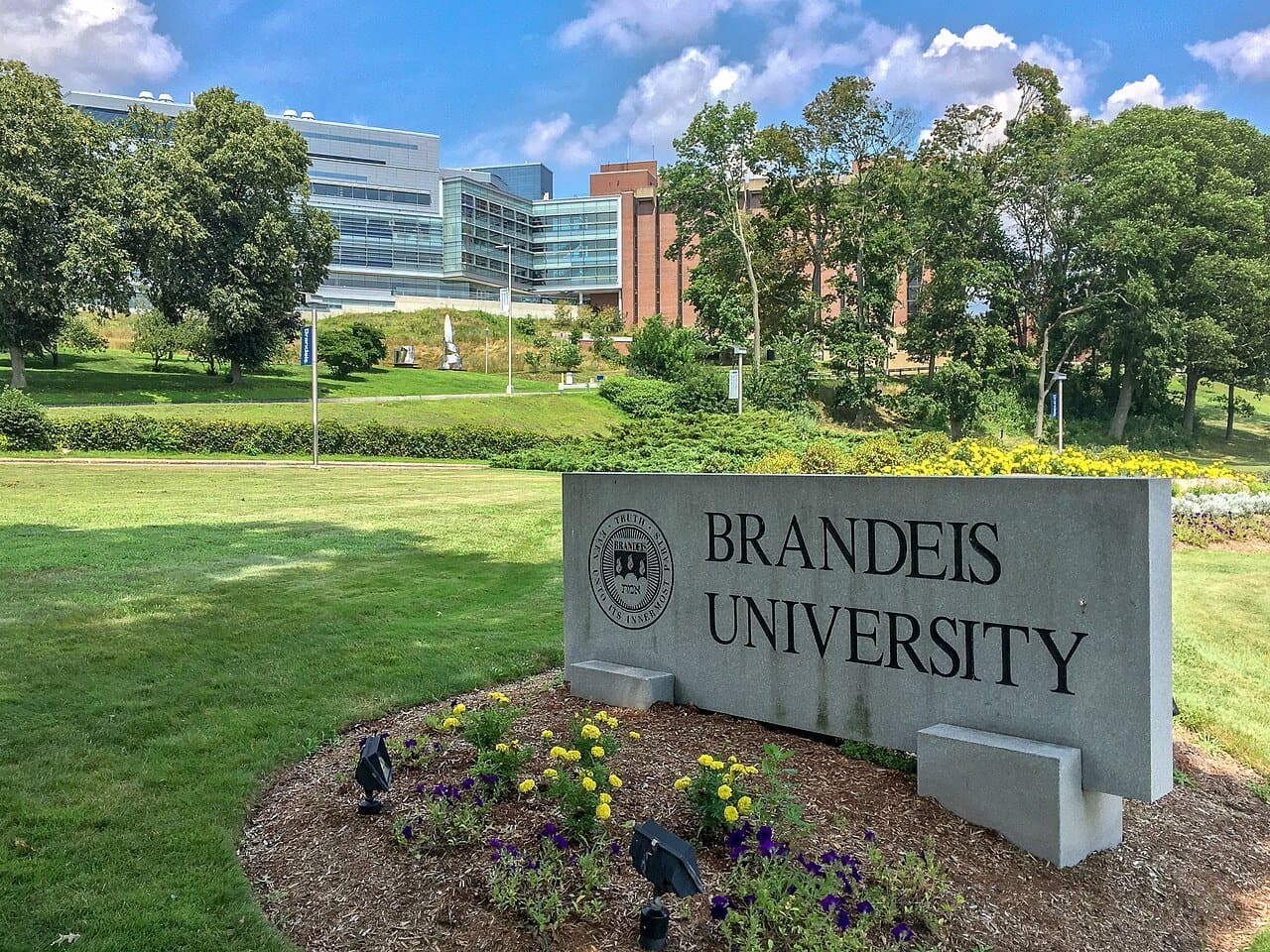 Brandeis University thumbnail 3