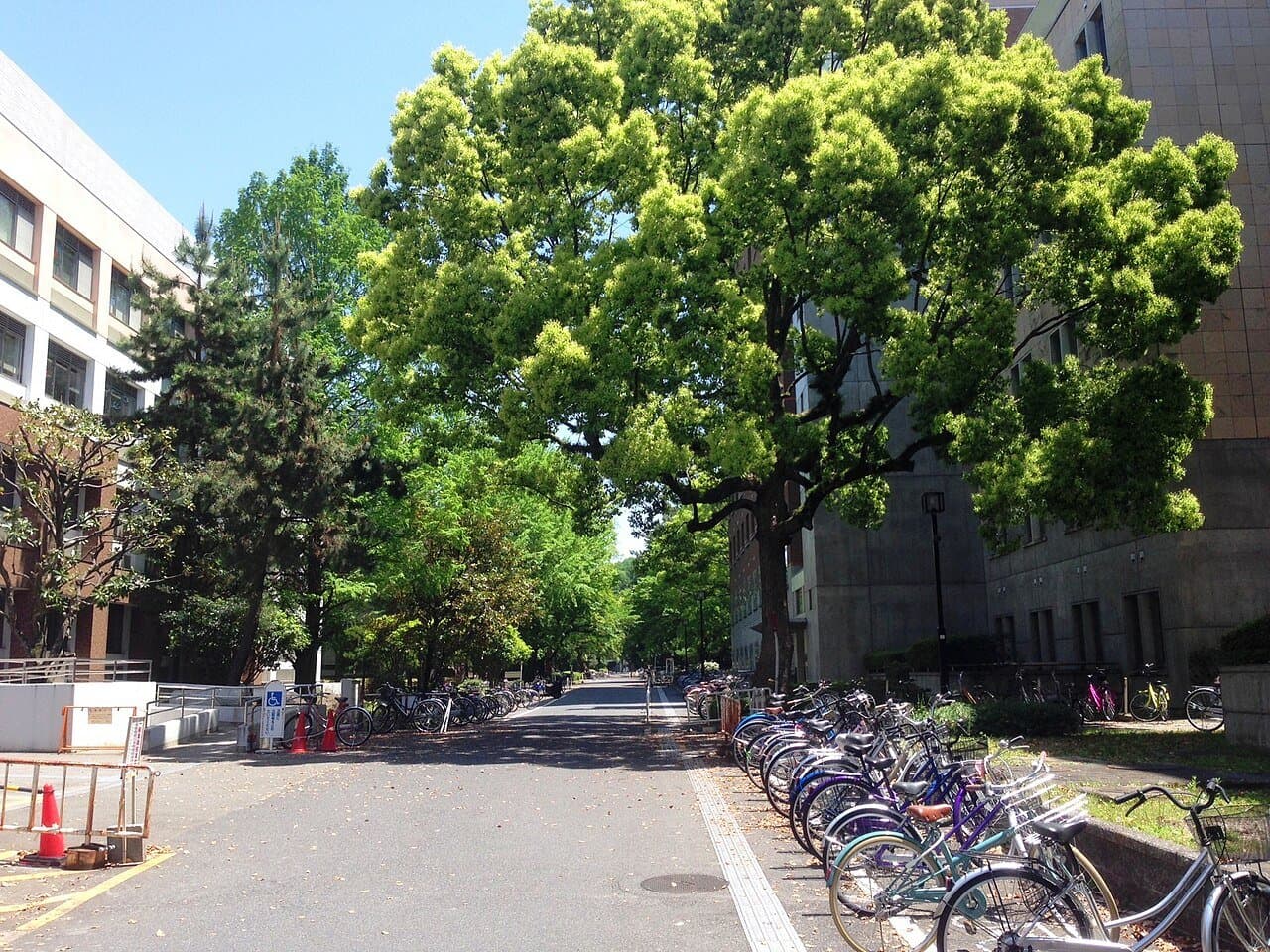 Kyoto University thumbnail 2