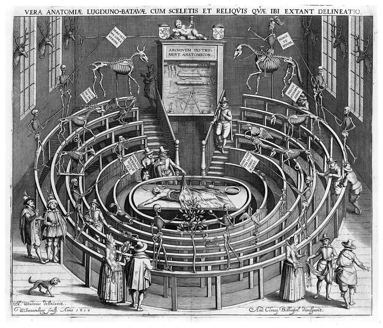 Leiden University thumbnail 3