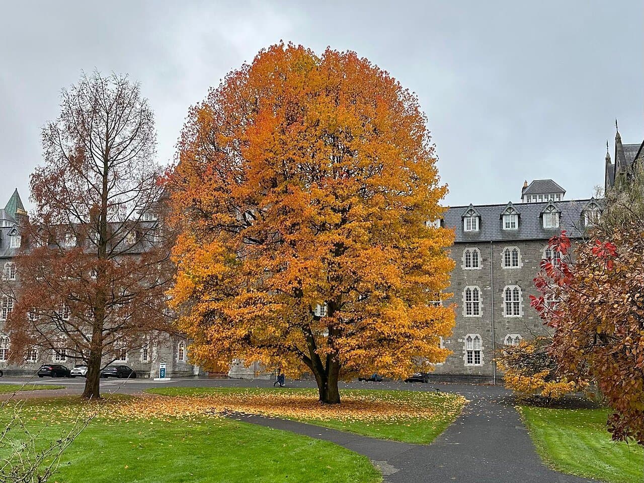 Maynooth University thumbnail 3