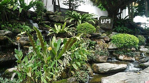 University of Malaya