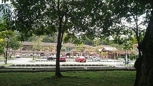 University of Malaya thumbnail 2