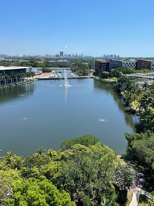 University of Miami