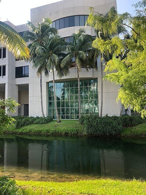 University of Miami thumbnail 3