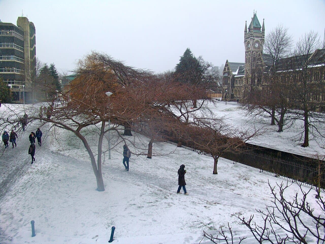 University of Otago thumbnail 3