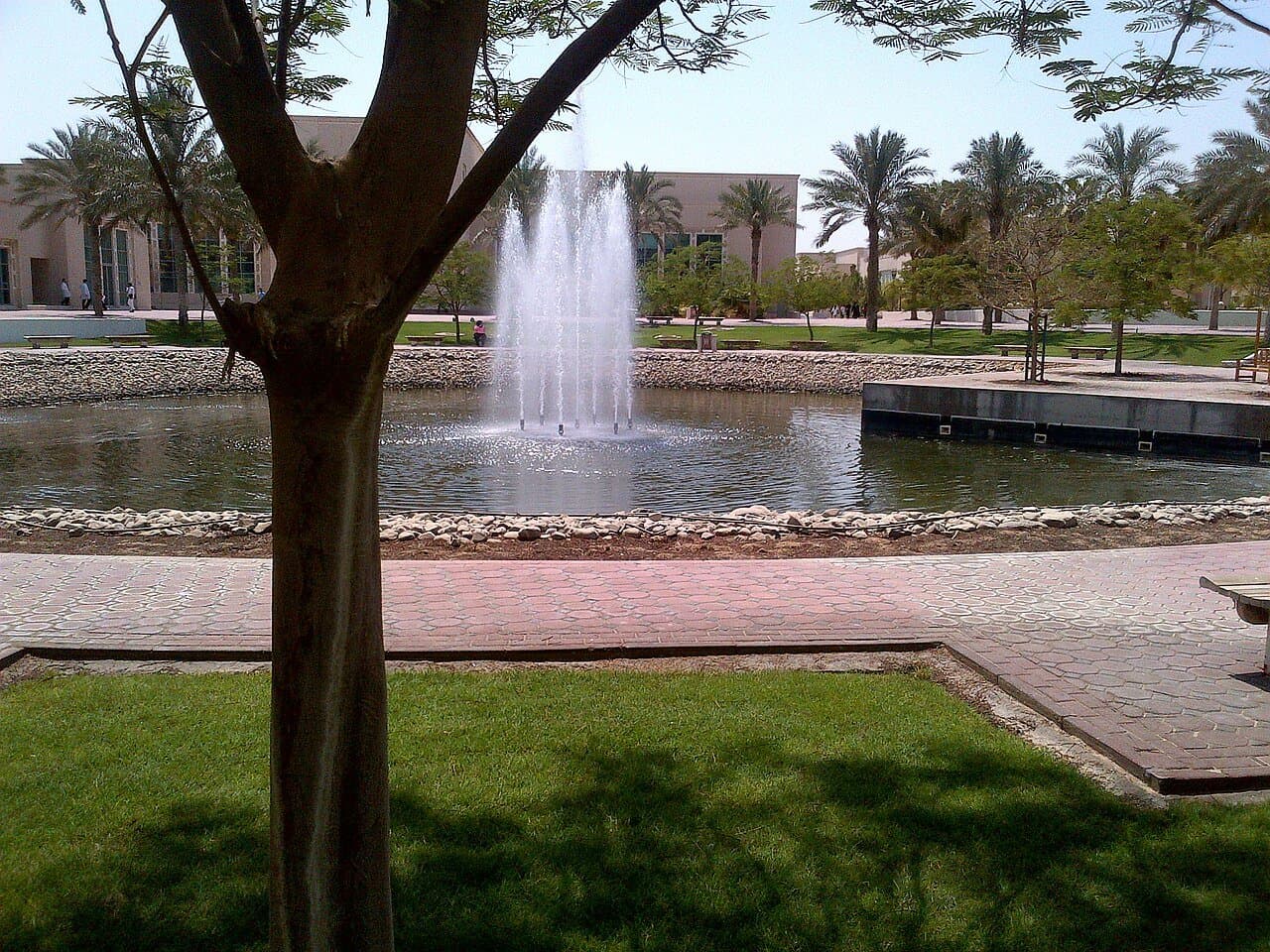 University of Sharjah thumbnail 2