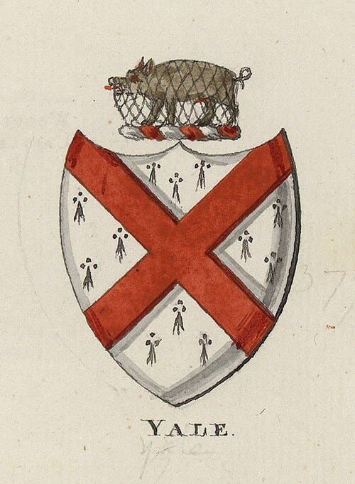 Yale University thumbnail 3